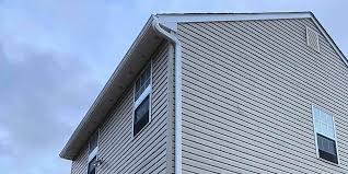 Best Vinyl Siding Installation  in Dana Point, CA